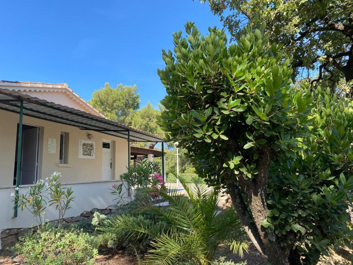 Camping Ladouceur Ramatuelle Exterior foto