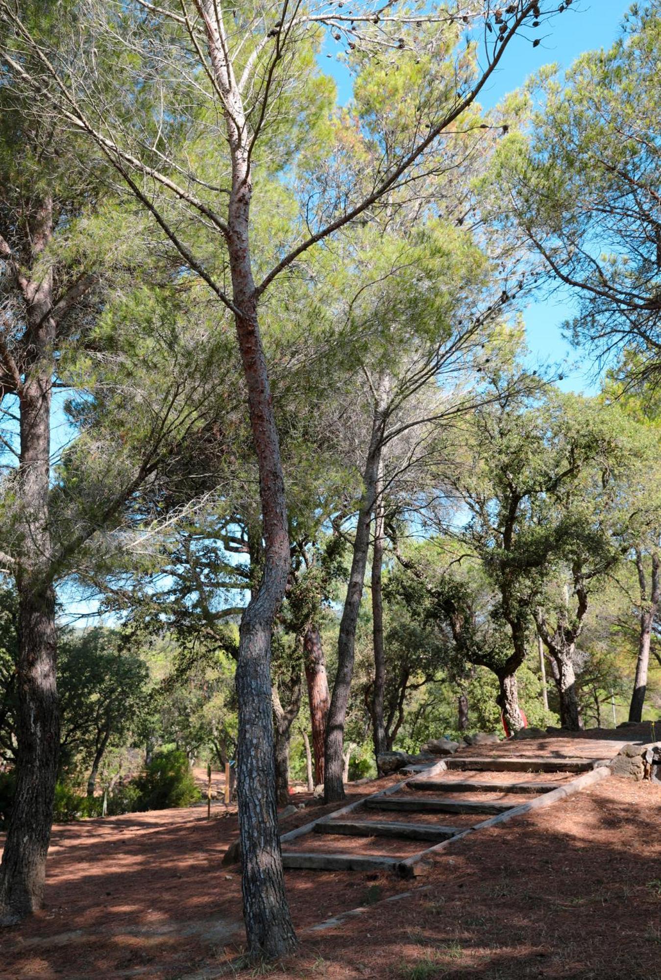 Camping Ladouceur Ramatuelle Exterior foto